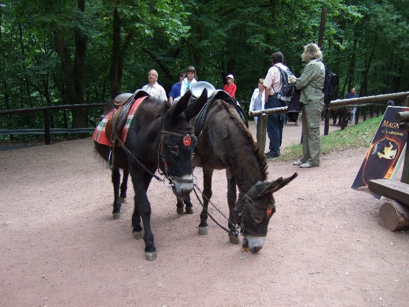 2011- 031.jpg